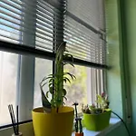 公寓 Fresh 格勒姆