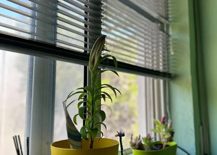 Appartement Fresh Golem (Tirana)