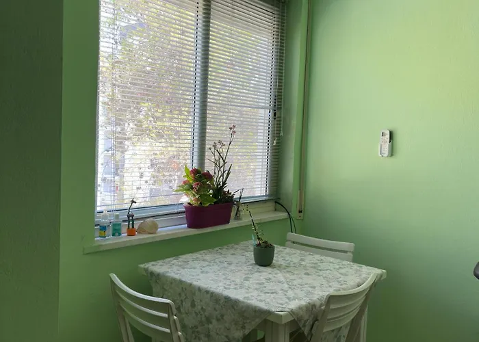 Fresh * Golem (Tirana)